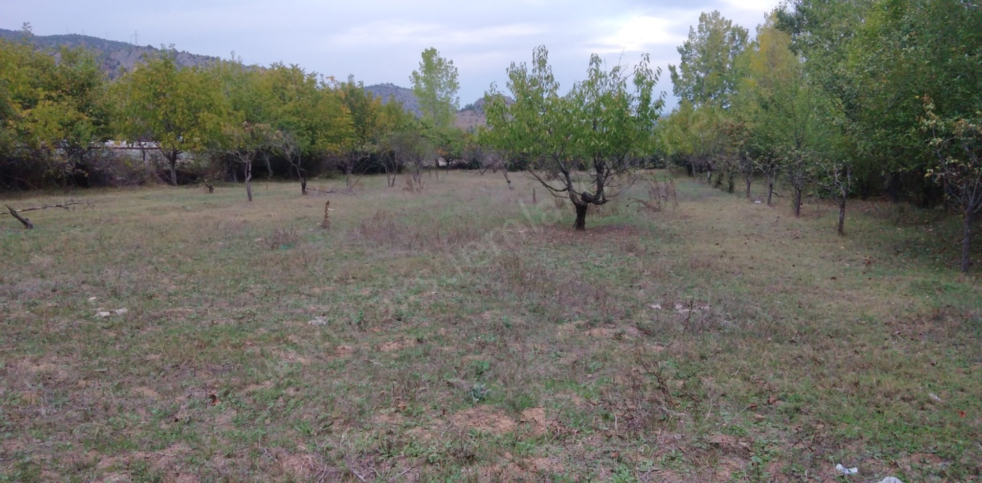 Satlık bahçe